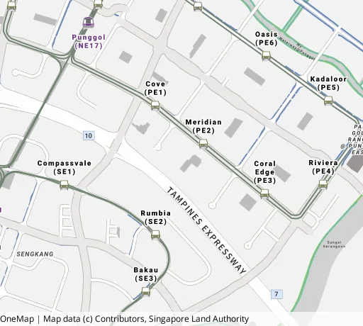 Map of the area around Blk 114 Edgefield Plains in Punggol, showing 400 m and 1 km rings and 5 primary schools within 1 km