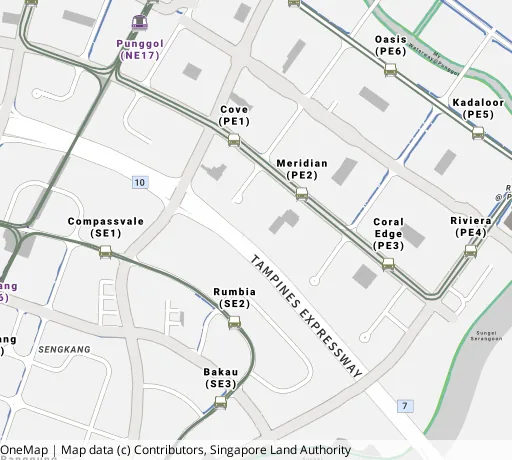 Map of the area around Blk 116 Edgefield Plains in Punggol, showing 400 m and 1 km rings and 5 primary schools within 1 km