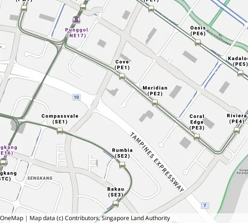 Map of the area around Blk 118 Edgefield Plains in Punggol, showing 400 m and 1 km rings and 6 primary schools within 1 km