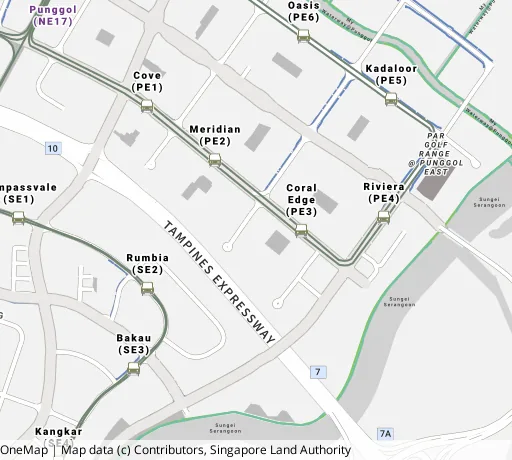 Map of the area around Blk 126C Edgedale Plains in Punggol, showing 400 m and 1 km rings and 5 primary schools within 1 km