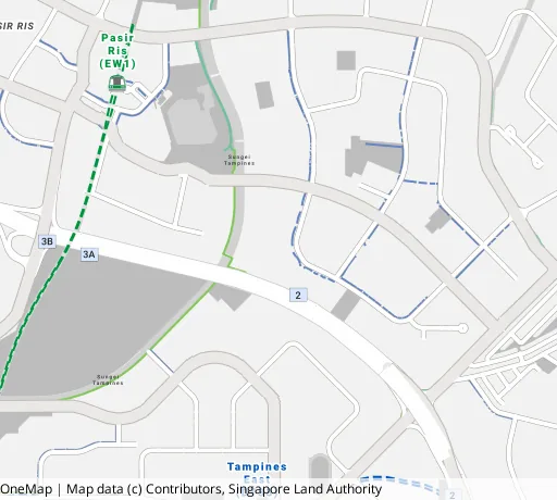 Map of the area around Blk 129 Pasir Ris St 11 in Pasir Ris, showing 400 m and 1 km rings and 2 primary schools within 1 km