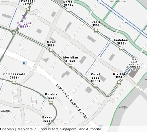 Map of the area around Blk 173A Punggol Field in Punggol, showing 400 m and 1 km rings and 6 primary schools within 1 km
