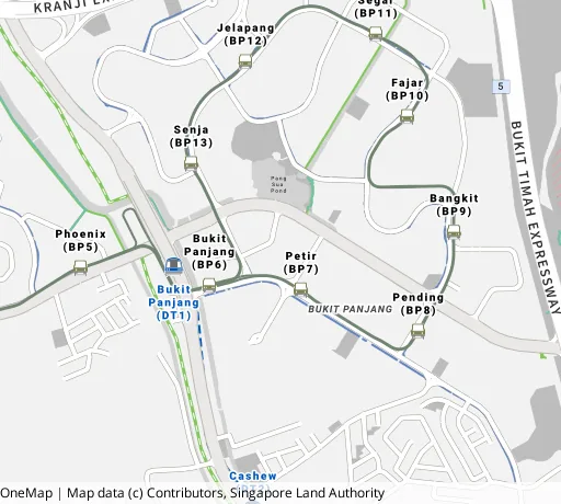 Map of the area around Blk 176 Lompang Rd in Bukit Panjang, showing 400 m and 1 km rings and 4 primary schools within 1 km