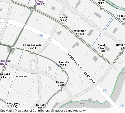 Map of the area around Blk 187A Rivervale Dr in Sengkang, showing 400 m and 1 km rings and 7 primary schools within 1 km