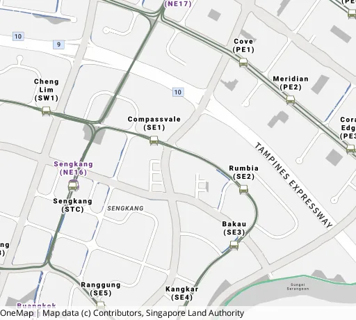 Map of the area around Blk 193 Rivervale Dr in Sengkang, showing 400 m and 1 km rings and 5 primary schools within 1 km