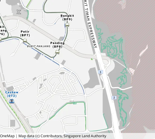 Map of the area around Blk 206 Petir Rd in Bukit Panjang, showing 400 m and 1 km rings and 2 primary schools within 1 km