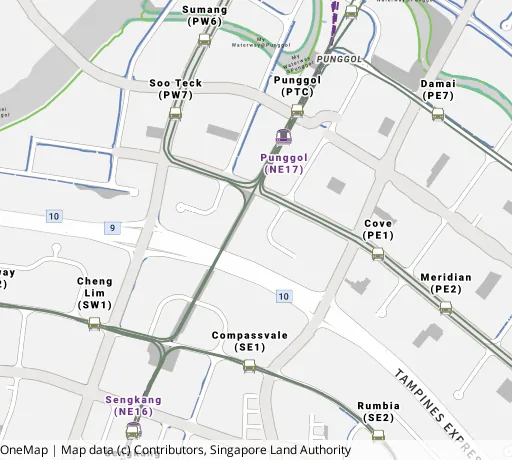 Map of the area around Blk 207B Punggol Pl in Punggol, showing 400 m and 1 km rings and 6 primary schools within 1 km