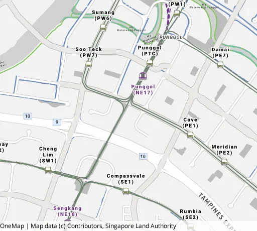 Map of the area around Blk 207D Punggol Pl in Punggol, showing 400 m and 1 km rings and 6 primary schools within 1 km