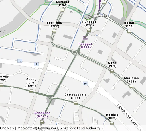 Map of the area around Blk 210B Punggol Pl in Punggol, showing 400 m and 1 km rings and 6 primary schools within 1 km