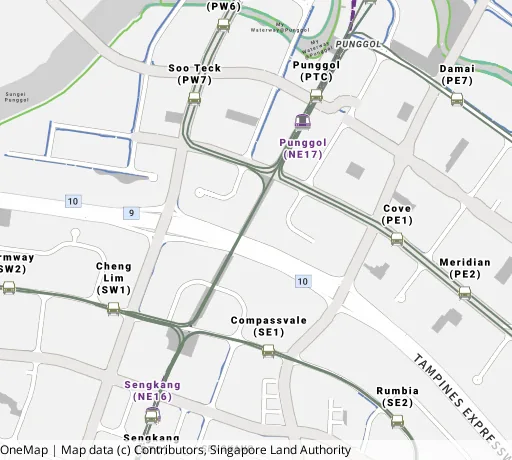 Map of the area around Blk 210C Punggol Pl in Punggol, showing 400 m and 1 km rings and 6 primary schools within 1 km