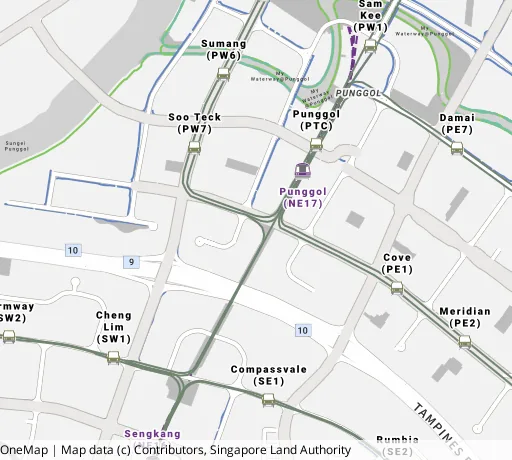 Map of the area around Blk 211A Punggol Walk in Punggol, showing 400 m and 1 km rings and 5 primary schools within 1 km