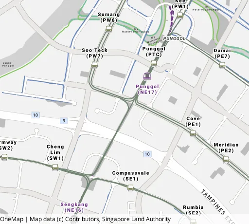 Map of the area around Blk 211B Punggol Walk in Punggol, showing 400 m and 1 km rings and 5 primary schools within 1 km