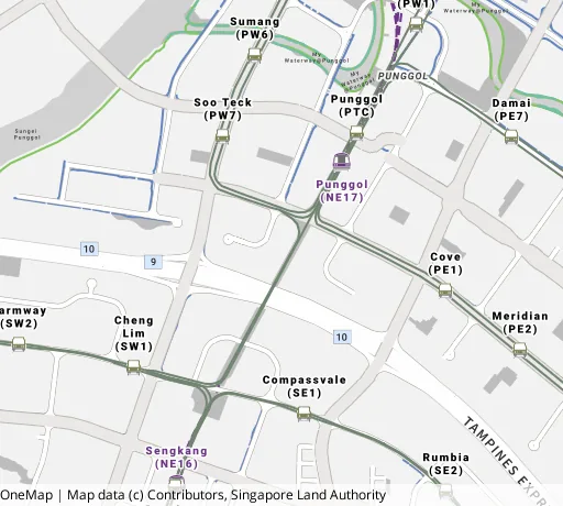 Map of the area around Blk 211C Punggol Walk in Punggol, showing 400 m and 1 km rings and 6 primary schools within 1 km
