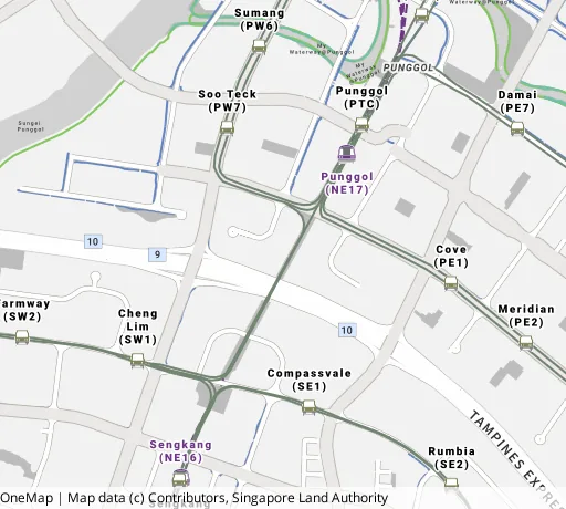 Map of the area around Blk 212B Punggol Walk in Punggol, showing 400 m and 1 km rings and 6 primary schools within 1 km