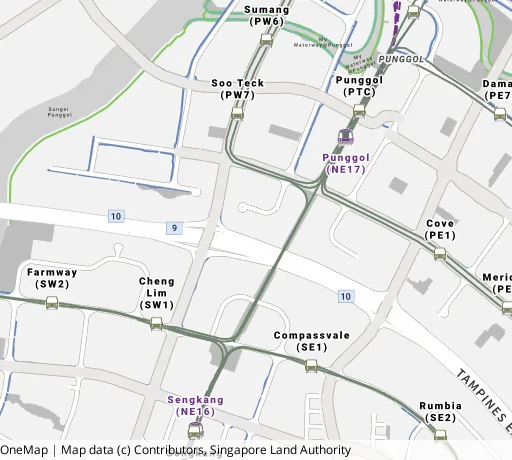 Map of the area around Blk 213A Punggol Walk in Punggol, showing 400 m and 1 km rings and 4 primary schools within 1 km