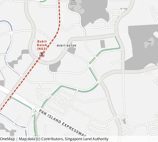 Map of the area around Blk 217 Bt Batok St 21 in Bukit Batok, showing 400 m and 1 km rings and 3 primary schools within 1 km