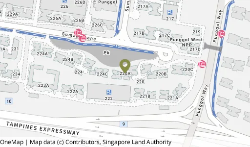Location map of Blk 220A Sumang Lane, a HDB resale block in Punggol, Singapore