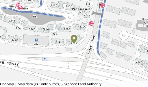 Location map of Blk 221A Sumang Lane, a HDB resale block in Punggol, Singapore