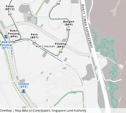 Map of the area around Blk 229 Pending Rd in Bukit Panjang, showing 400 m and 1 km rings and 3 primary schools within 1 km