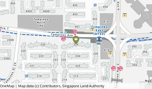 Location map of Blk 229 Tampines St 23, a HDB resale block in Tampines, Singapore