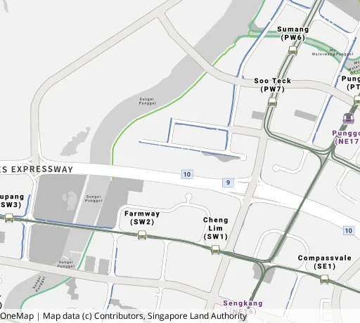 Map of the area around Blk 234B Sumang Lane in Punggol, showing 400 m and 1 km rings and 2 primary schools within 1 km