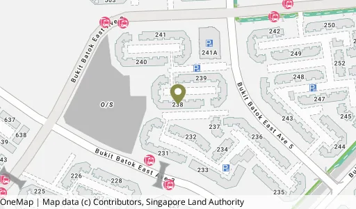 Location map of Blk 238 Bt Batok East Ave 5, a HDB resale block in Bukit Batok, Singapore