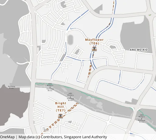 Map of the area around Blk 253 Ang Mo Kio St 21 in Ang Mo Kio, showing 400 m and 1 km rings and 1 primary school within 1 km