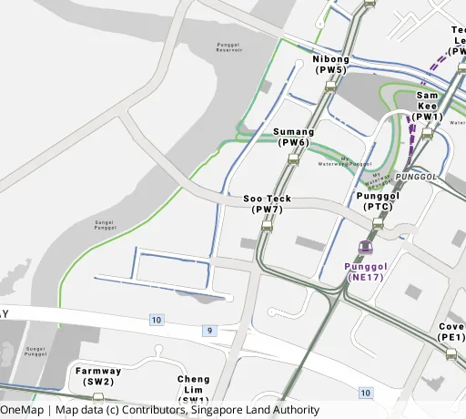 Map of the area around Blk 256A Sumang Walk in Punggol, showing 400 m and 1 km rings and 3 primary schools within 1 km