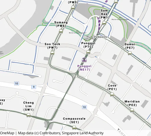 Map of the area around Blk 272A Punggol Walk in Punggol, showing 400 m and 1 km rings and 5 primary schools within 1 km