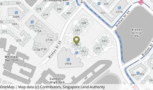Location map of Blk 290 Bishan St 24, a HDB resale block in Bishan, Singapore