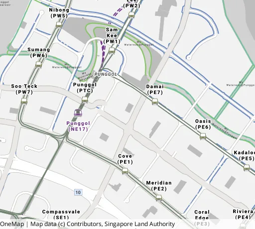 Map of the area around Blk 301A Punggol Ctrl in Punggol, showing 400 m and 1 km rings and 6 primary schools within 1 km