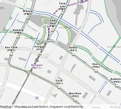 Map of the area around Blk 305B Punggol Rd in Punggol, showing 400 m and 1 km rings and 5 primary schools within 1 km
