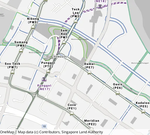 Map of the area around Blk 306D Punggol Dr in Punggol, showing 400 m and 1 km rings and 5 primary schools within 1 km