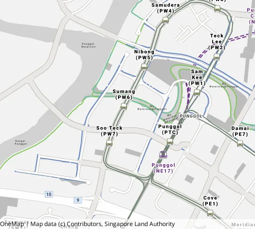 Map of the area around Blk 308B Punggol Walk in Punggol, showing 400 m and 1 km rings and 4 primary schools within 1 km