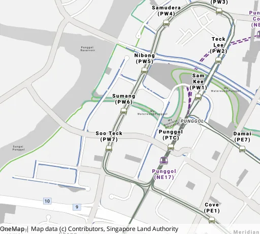 Map of the area around Blk 308C Punggol Walk in Punggol, showing 400 m and 1 km rings and 4 primary schools within 1 km