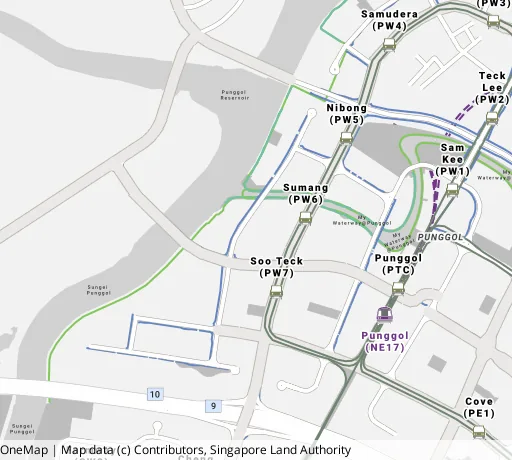 Map of the area around Blk 315B Punggol Way in Punggol, showing 400 m and 1 km rings and 3 primary schools within 1 km