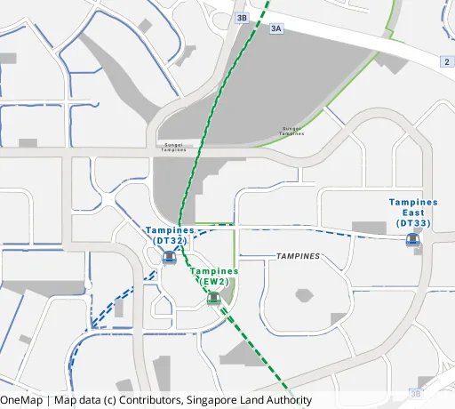 Map of the area around Blk 406 Tampines St 41 in Tampines, showing 400 m and 1 km rings and 5 primary schools within 1 km