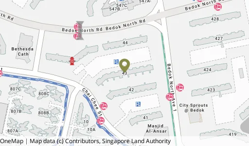 Location map of Blk 43 Chai Chee St, a HDB resale block in Bedok, Singapore
