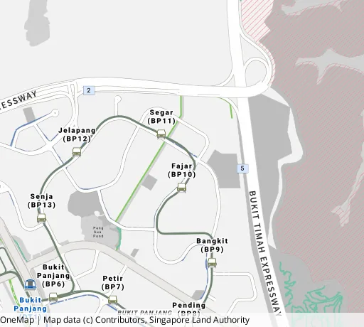 Map of the area around Blk 431 Bt Panjang Ring Rd in Bukit Panjang, showing 400 m and 1 km rings and 4 primary schools within 1 km