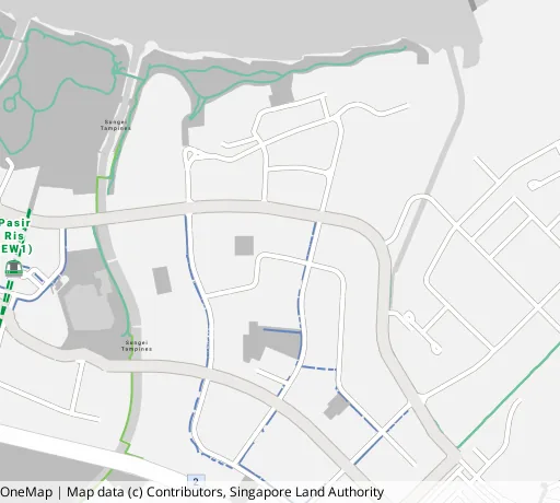 Map of the area around Blk 482 Pasir Ris Dr 4 in Pasir Ris, showing 400 m and 1 km rings and 3 primary schools within 1 km