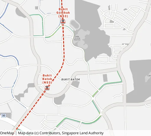 Map of the area around Blk 505 Bt Batok St 52 in Bukit Batok, showing 400 m and 1 km rings and 4 primary schools within 1 km
