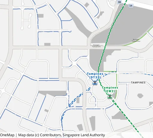 Map of the area around Blk 519A Tampines Ctrl 8 in Tampines, showing 400 m and 1 km rings and 6 primary schools within 1 km