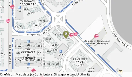 Location map of Blk 519A Tampines Ctrl 8, a HDB resale block in Tampines, Singapore