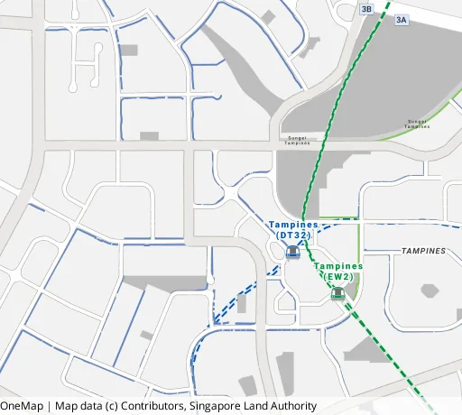 Map of the area around Blk 519B Tampines Ctrl 8 in Tampines, showing 400 m and 1 km rings and 4 primary schools within 1 km
