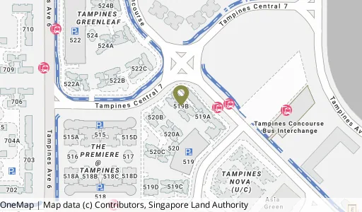 Location map of Blk 519B Tampines Ctrl 8, a HDB resale block in Tampines, Singapore