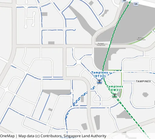 Map of the area around Blk 520A Tampines Ctrl 8 in Tampines, showing 400 m and 1 km rings and 4 primary schools within 1 km