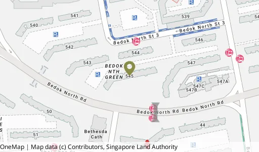 Location map of Blk 545 Bedok Nth St 3, a HDB resale block in Bedok, Singapore