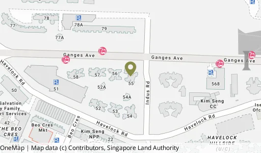 Location map of Blk 55 Havelock Rd, a HDB resale block in Bukit Merah, Singapore