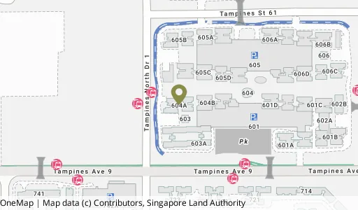 Location map of Blk 604A Tampines Ave 9, a HDB resale block in Tampines, Singapore