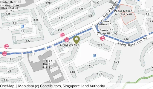 Location map of Blk 609 Bedok Reservoir Rd, a HDB resale block in Bedok, Singapore